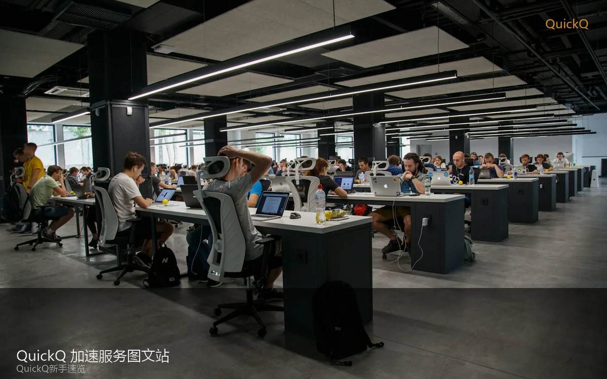 quickq 线路选择与连接状态示意